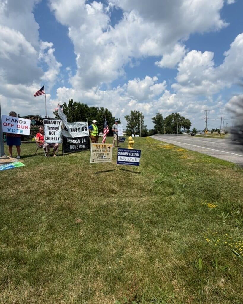 Protesters holding signs on a roadside in Geneseo